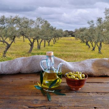 Una bottiglia di olio d'oliva e olive fresche, immerse in un contesto di uliveti tipici dell'Umbria.