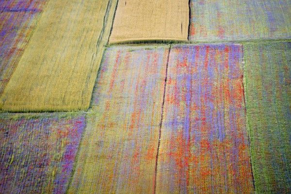 Un'immagine aerea di campi variopinti che si uniscono, formando un mosaico naturale. I colori vivaci mettono in risalto la varietà della flora.