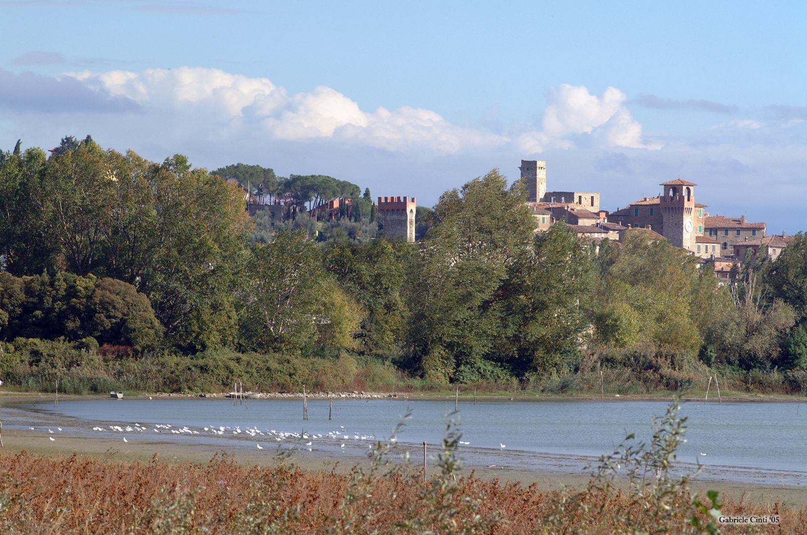 Panorama di un paesaggio lacustre con edifici storici visibili sullo sfondo.