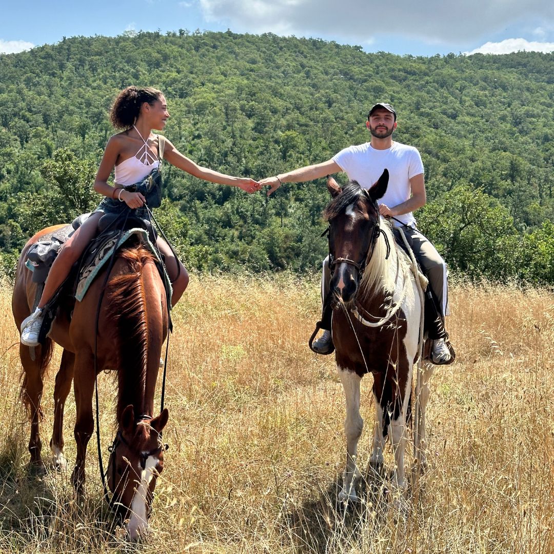 Titolo: L'ÉQUITATION