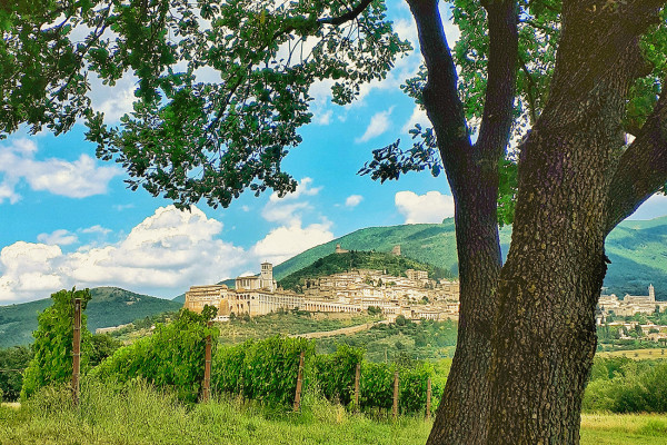 Titolo: Picnic in the Vineyard of Assisi and wine tasting