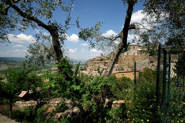 Panorama di un borgo immerso nel verde, tra alberi e colline.