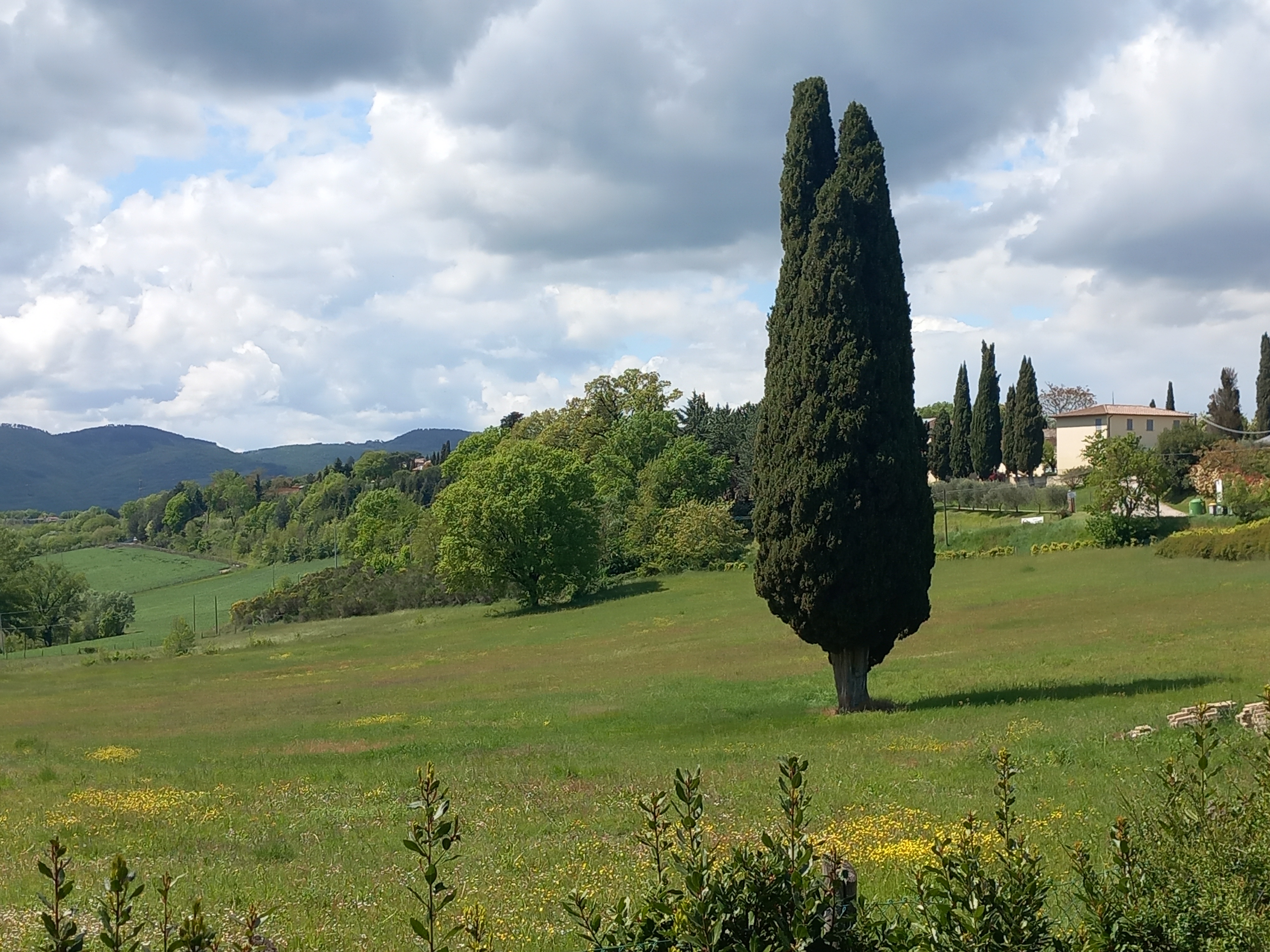 Titolo: The Via di Francesco by e-bike 