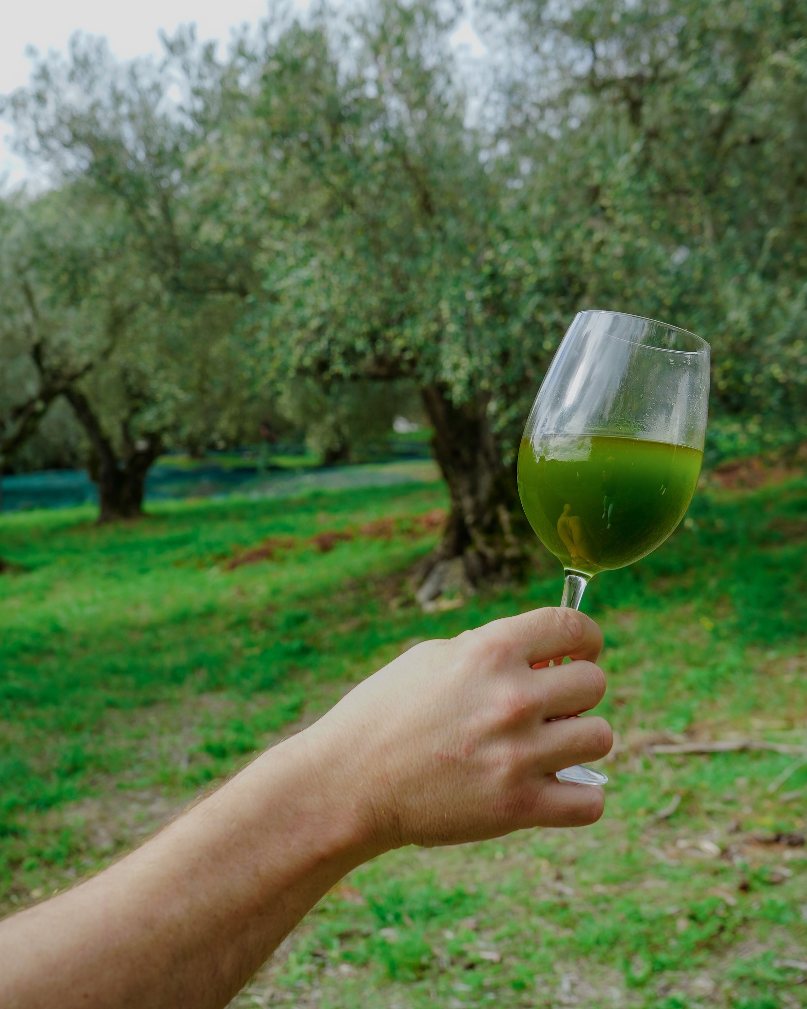 Titolo: TRAMPOLINI TOUR 