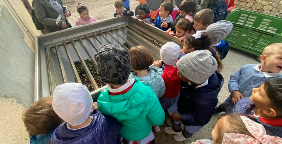 Titolo: Route Nr. 1 - Annäherung an die Verkostung von nativem Olivenöl extra.