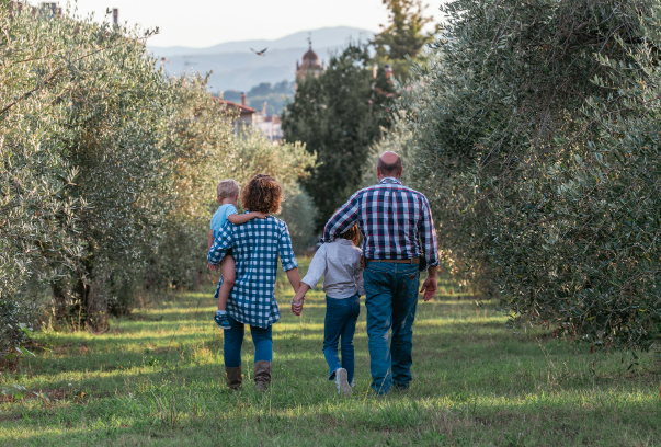 Titolo: Pathway 2 -From olive tree to oil how this product is created.