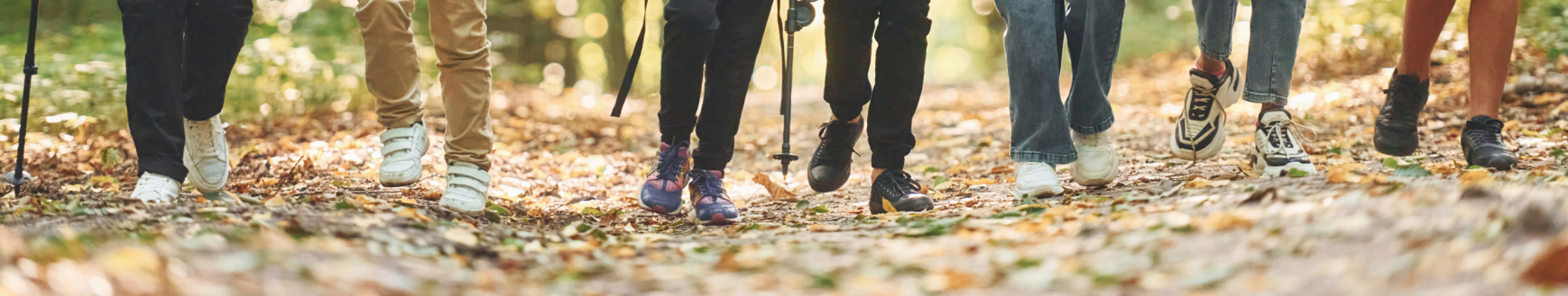 Titolo: Esperienza sensoriale nel bosco