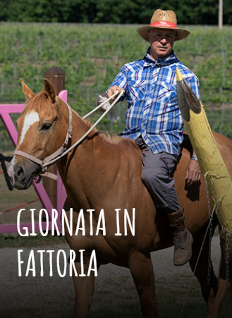 giornata in fattoria 