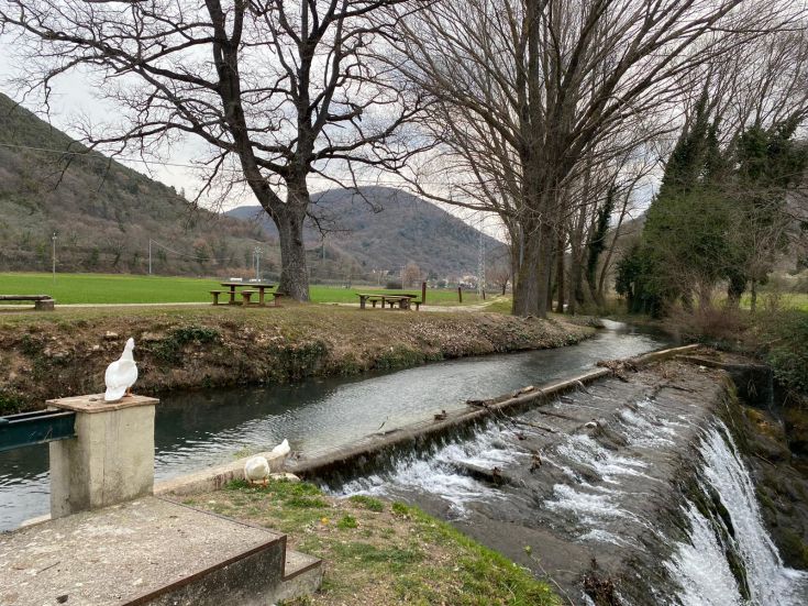 Un ruscello sereno circondato da alberi e piccole anatre, adatto per passeggiate tranquille nella natura.