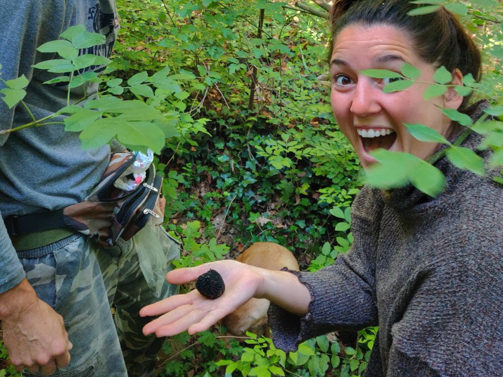 Titolo: Caccia al tartufo