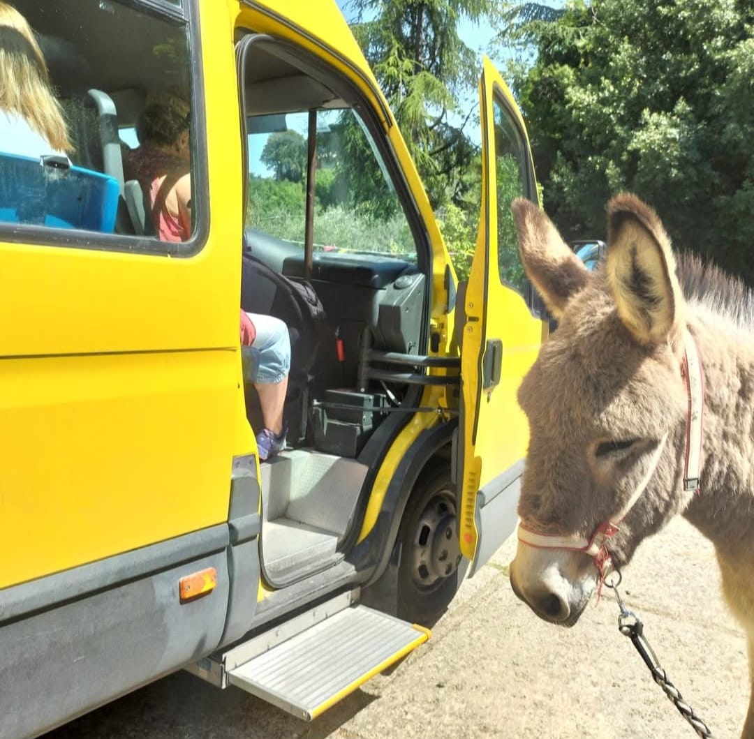 Titolo: Bambini e Ciuchini