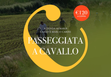 Titolo: Horseback Riding with Tasting