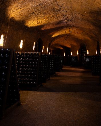 Titolo: Visit and Tasting