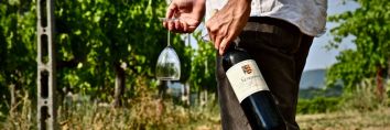 Titolo: Tour e degustazione vini