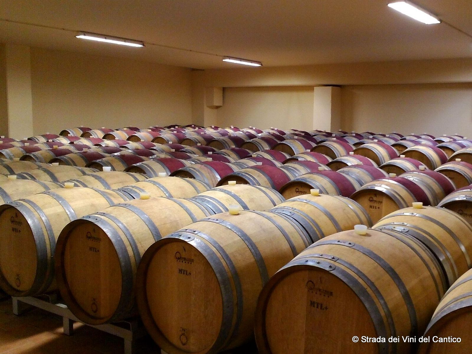 Titolo: Proposals for Secondary Schools for Tourism