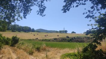 Titolo: SENTIERI DI BENESSERE E D'AMORE