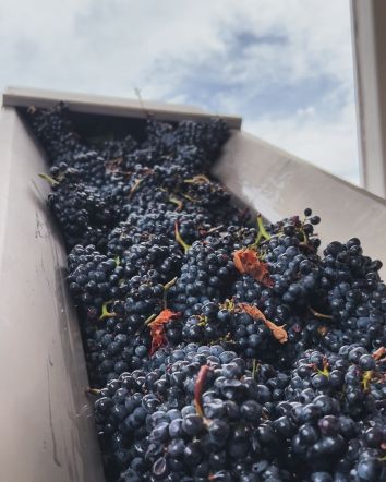 Titolo: Diversamente Umbri Experience