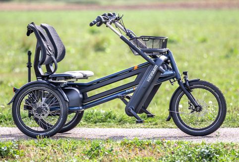 Titolo: E-bike 2 posti 
