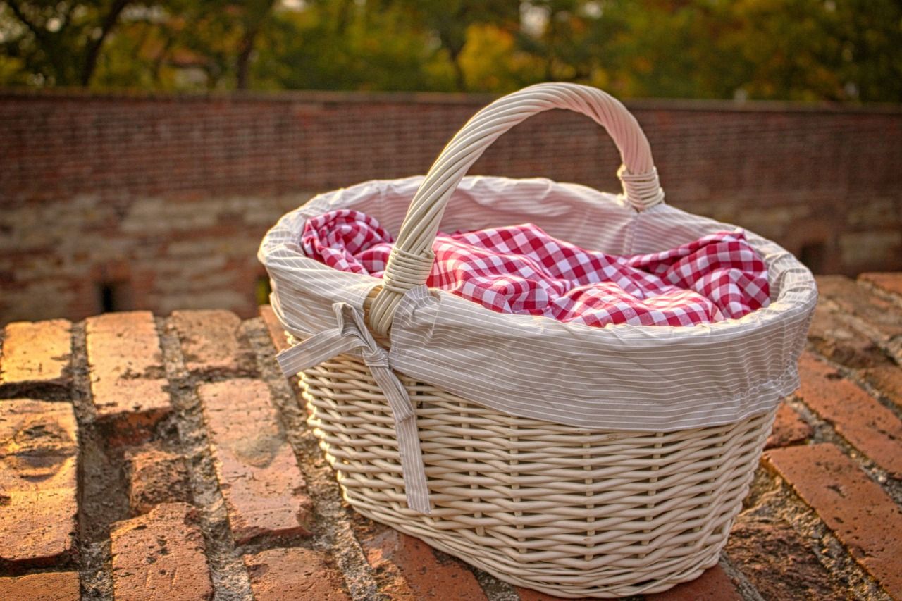 Picnic Bio in vigna a Cannara