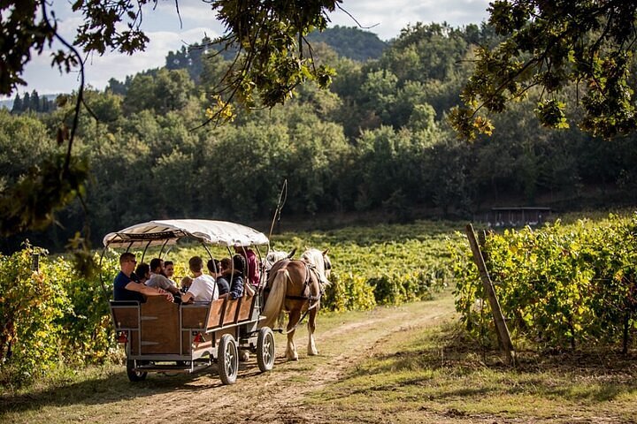 Titolo: Trottando tra le vigne con stuzzicherie a Cannara