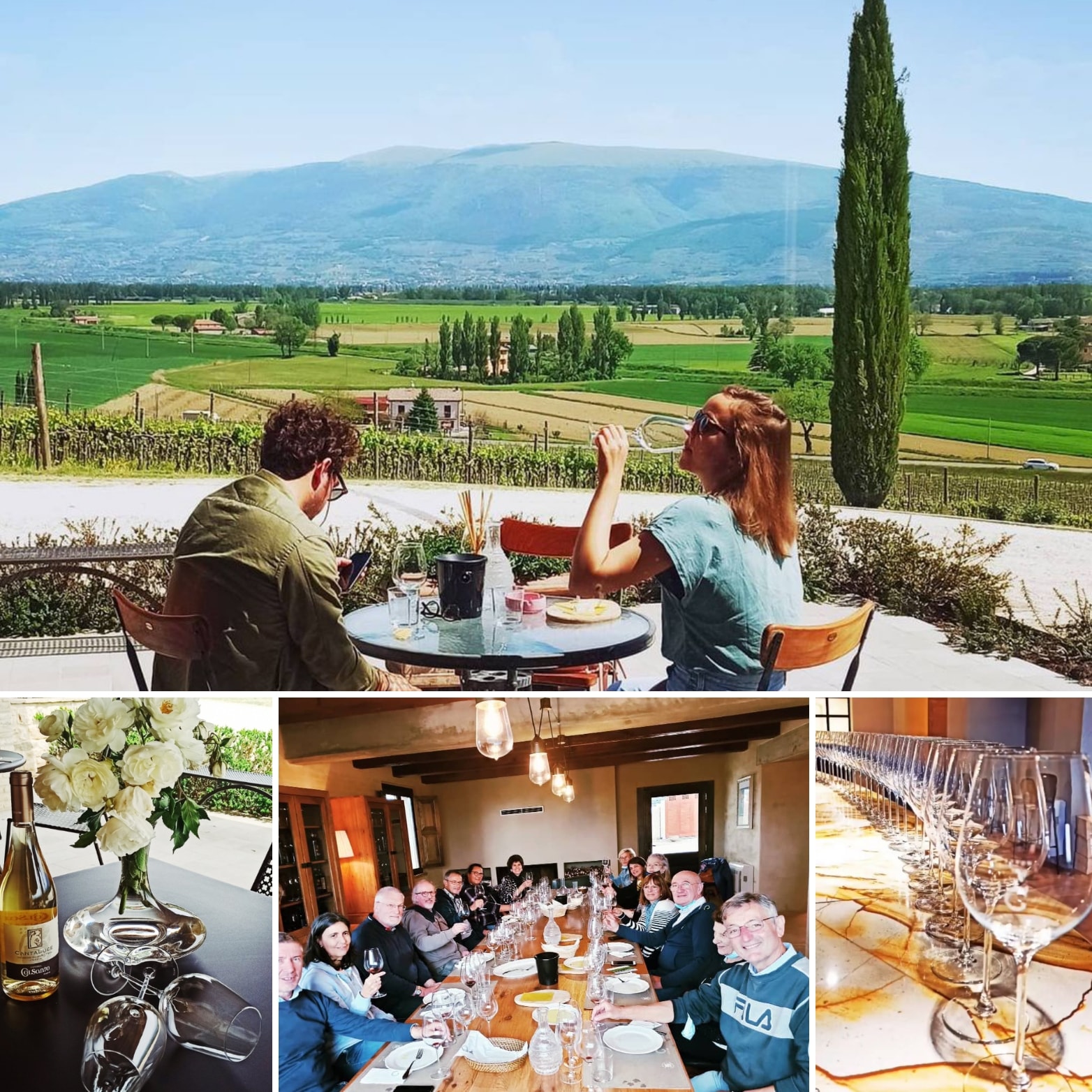 Titolo: Tour tra i Vigneti e gli Uliveti 