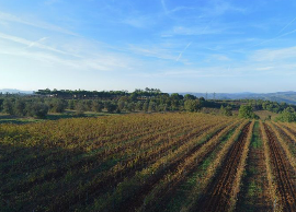 Titolo: TOUR OF THE TERRITORY