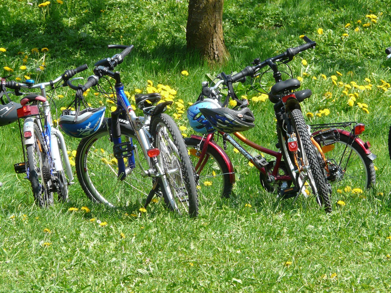 Titolo: Tour in E-Bike: Subasio Wild & Gourmet
