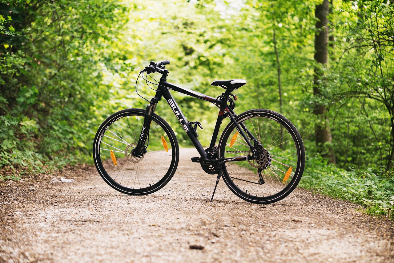 Titolo: Vini e borghi: E-bike tour Assisi-Spello 