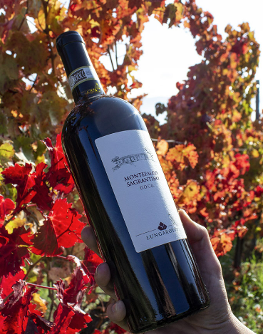 Titolo: Experience Montefalco