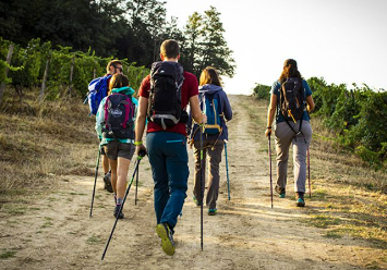 Titolo: Trekking nella Tenuta di Montefalco