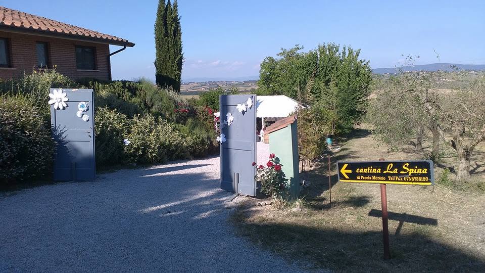 Titolo: Guided tours of the vineyard and winery