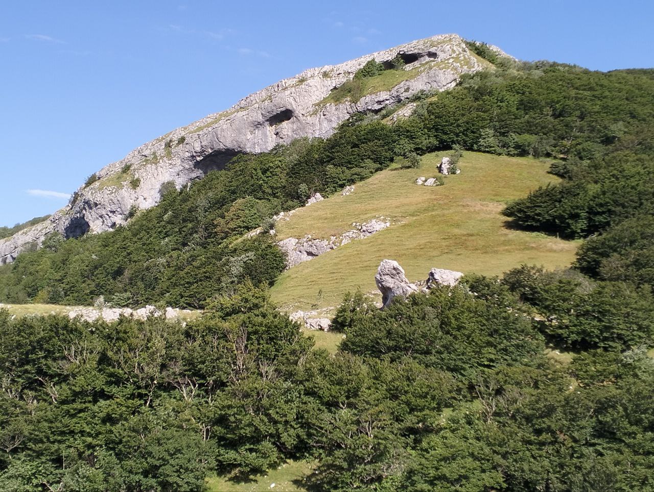 Titolo: Discovering the wonders of nature