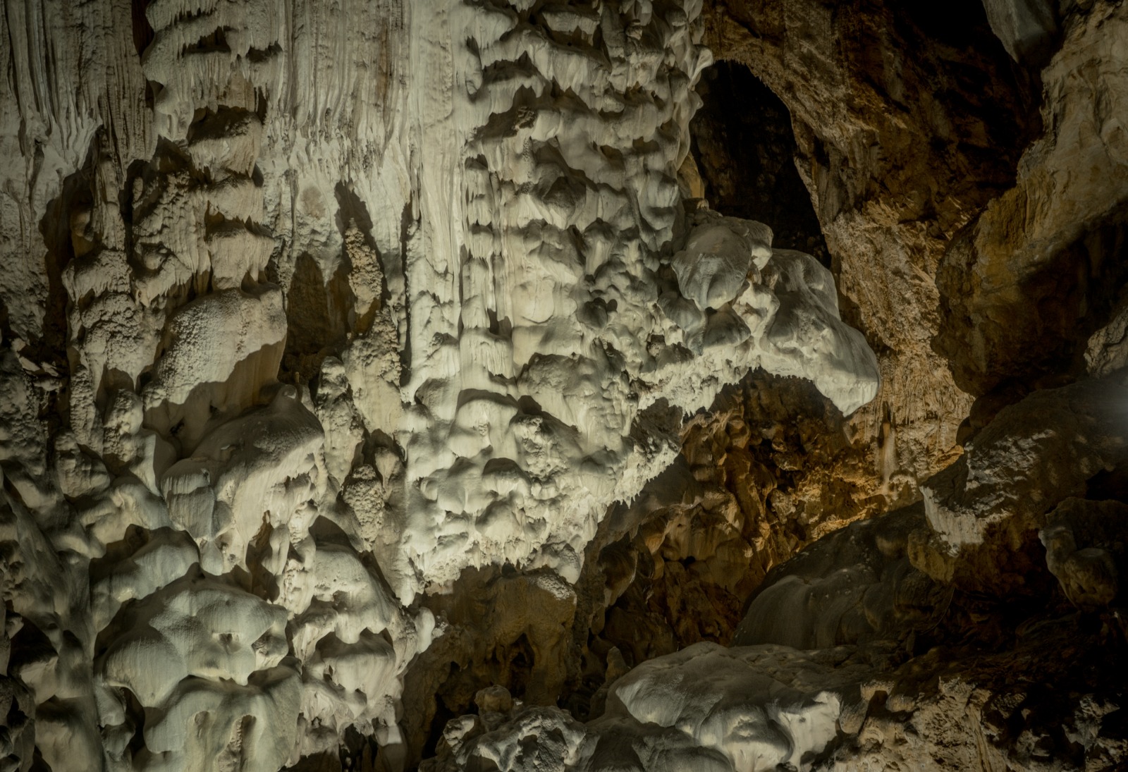 Titolo: Exploring the Monte Cucco Park area