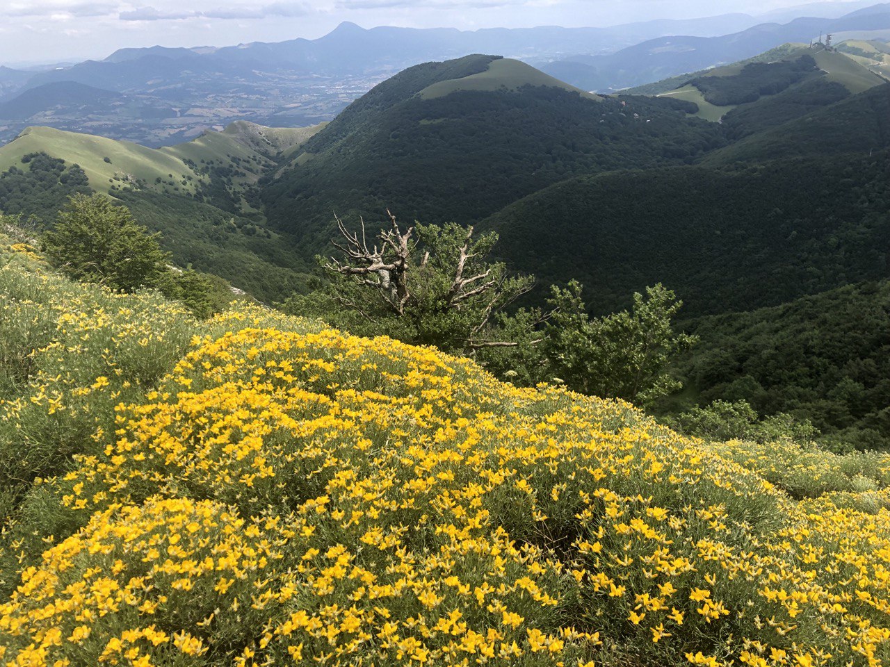 Titolo: A family weekend at Monte Cucco Park