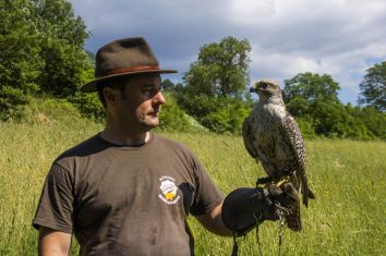 Titolo: Falconry courses - Sibillini Adventure