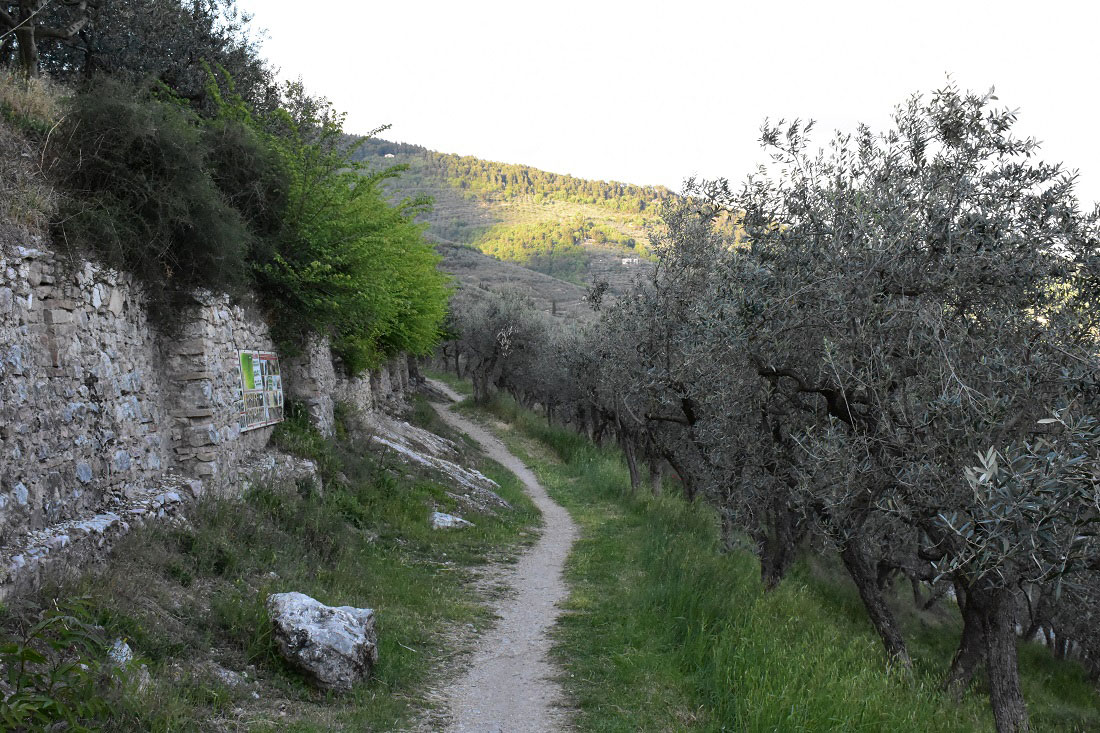 Camminata lungo le mura 