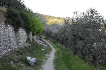 Camminata lungo le mura 